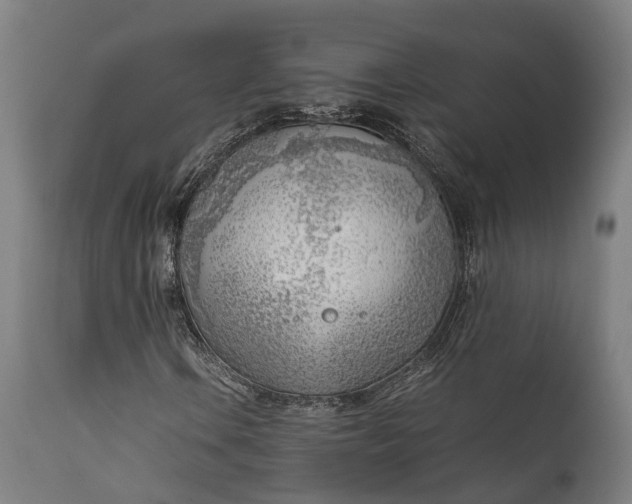 X0000111631106200907311220