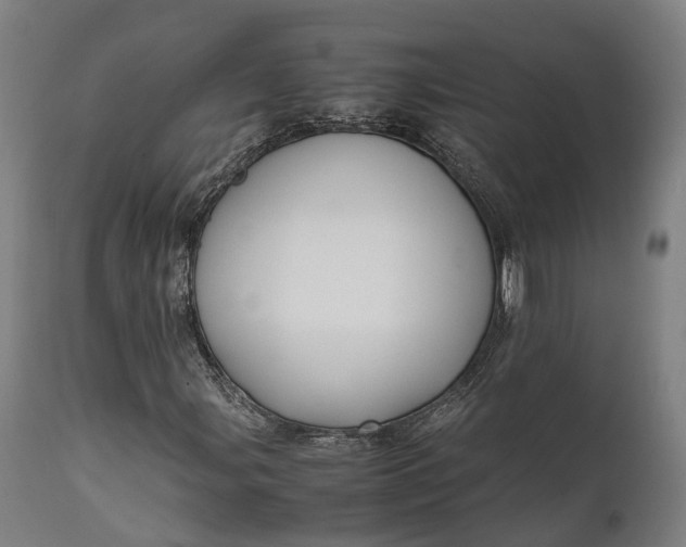 X0000111631107200907311220