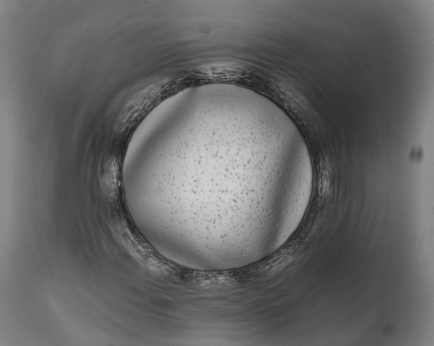 X0000111631108200907311220