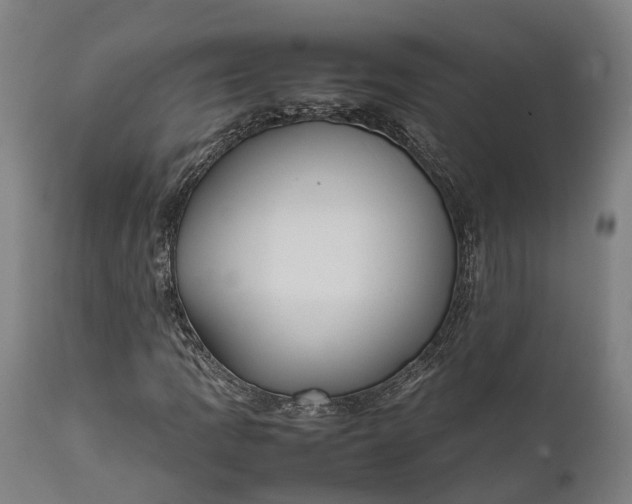 X0000111631109200907311220