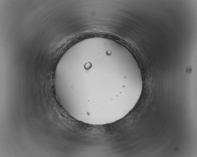 X0000111631110200907311220