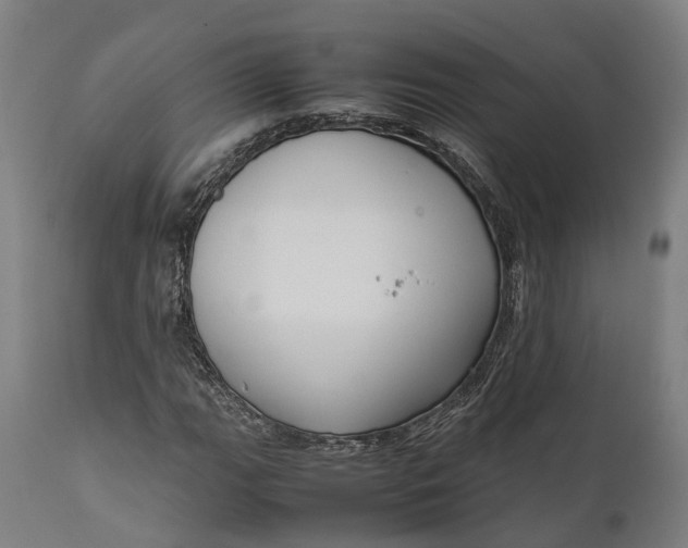 X0000111631111200907311220