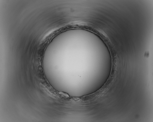 X0000111631112200907311220