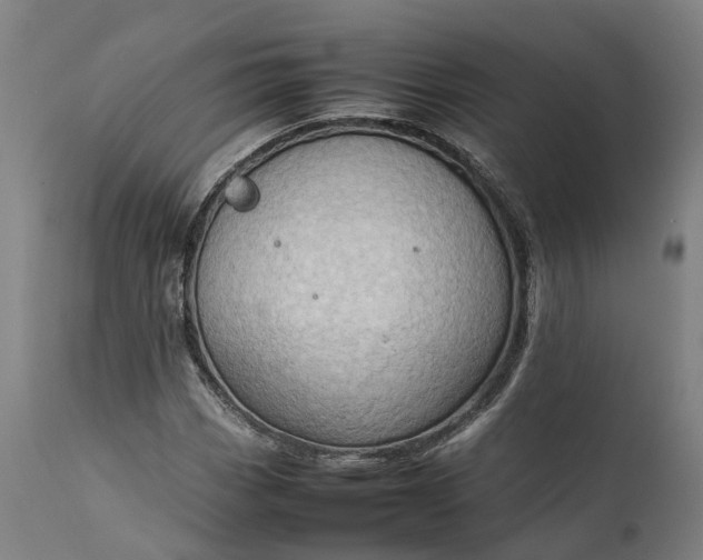 X0000111631113200907311220