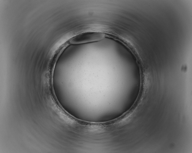 X0000111631114200907311220