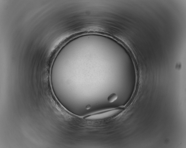 X0000111631115200907311220