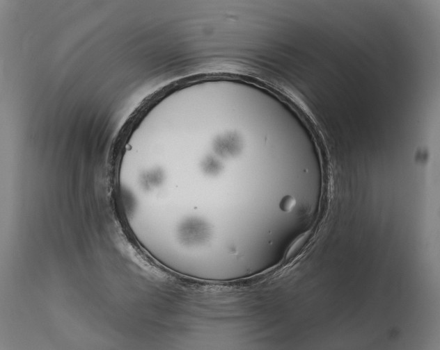 X0000111631116200907311220