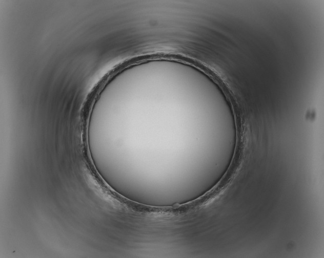 X0000111631118200907311220