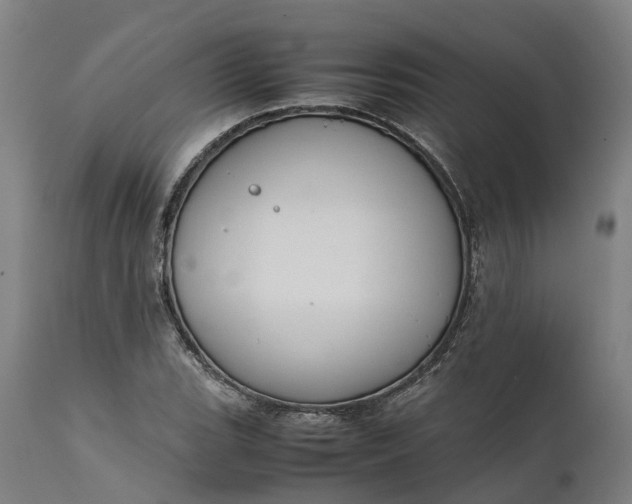 X0000111631119200907311220