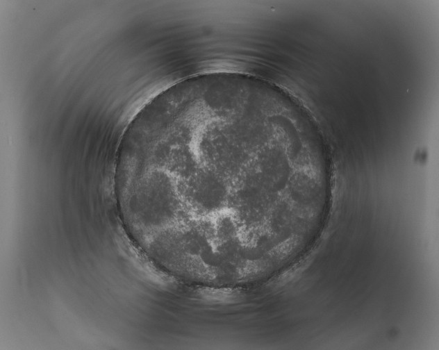 X0000111631121200907311220