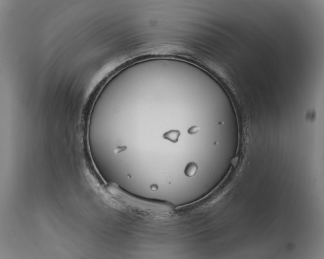 X0000111631122200907311220