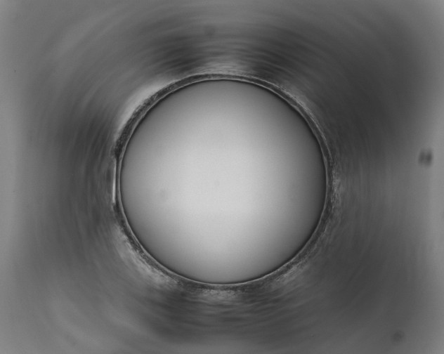 X0000111631123200907311220