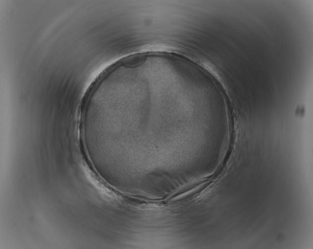 X0000111631124200907311220