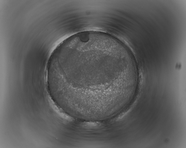 X0000111631125200907311220