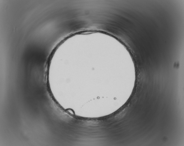 X0000111631126200907311220