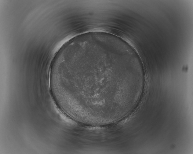 X0000111631127200907311220