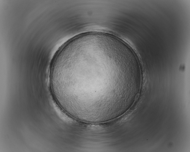 X0000111631128200907311220