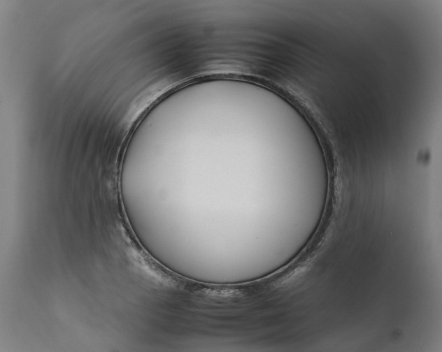 X0000111631129200907311220