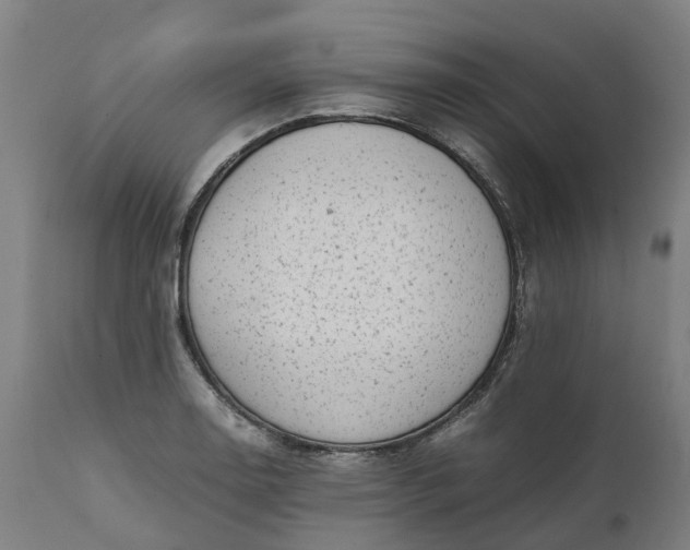 X0000111631130200907311220