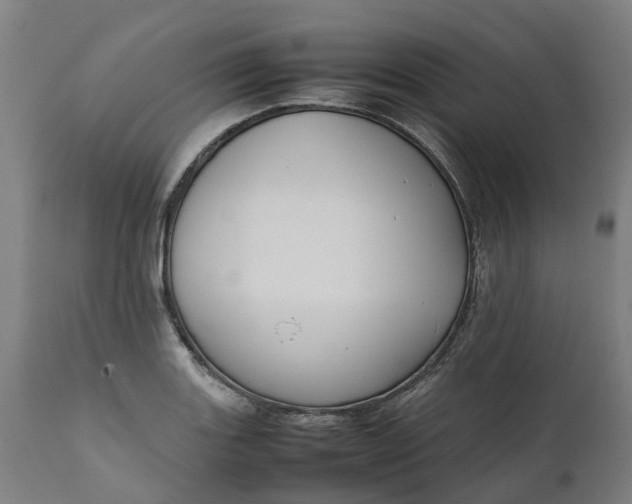 X0000111631131200907311220