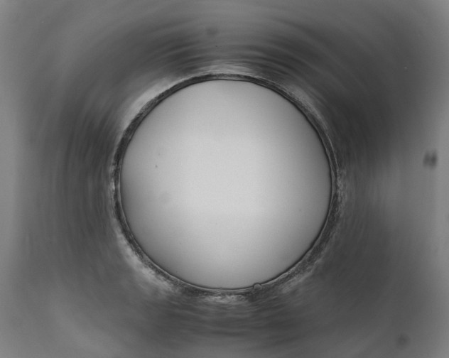 X0000111631133200907311220