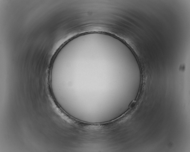 X0000111631134200907311220