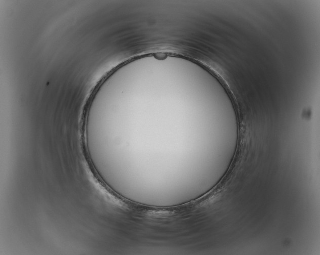 X0000111631135200907311220