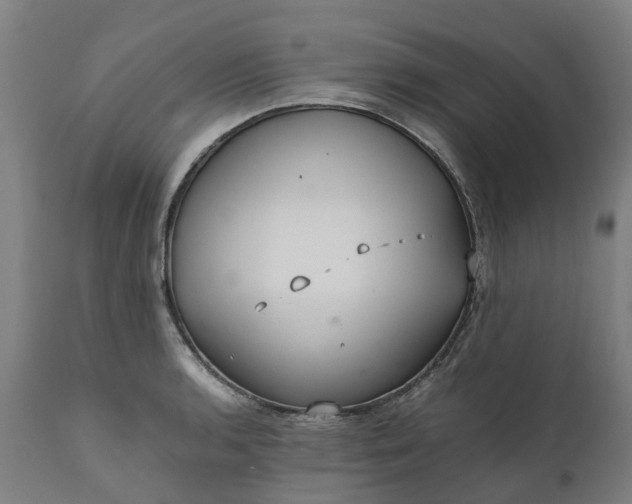 X0000111631136200907311220