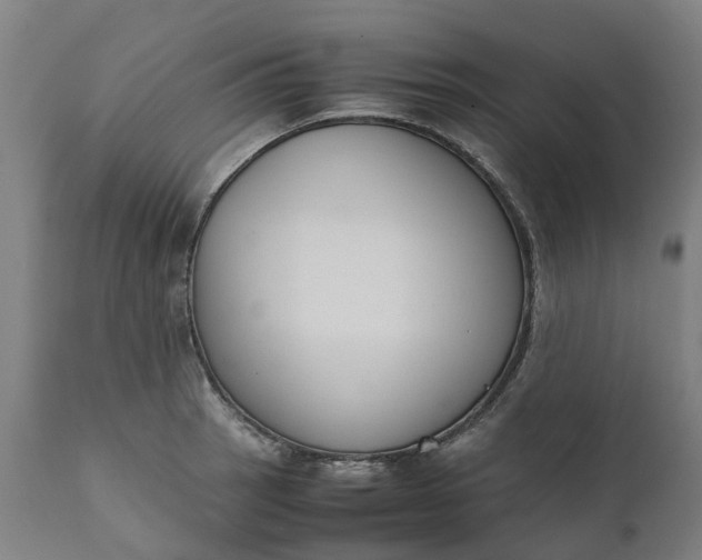 X0000111631137200907311220