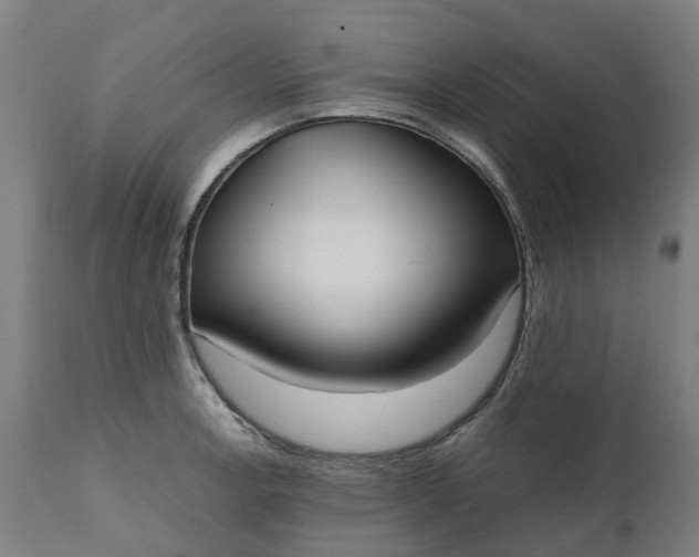 X0000111631138200907311220