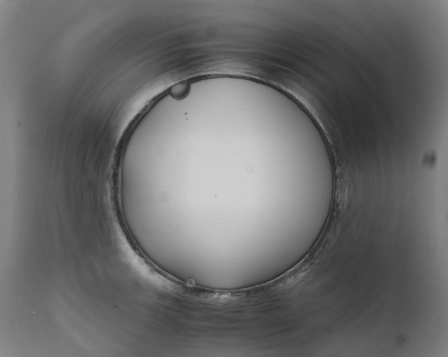 X0000111631139200907311220