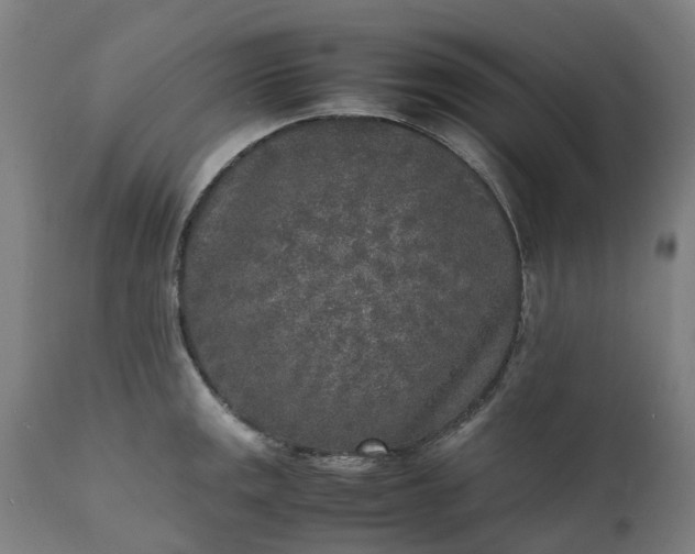 X0000111631141200907311220