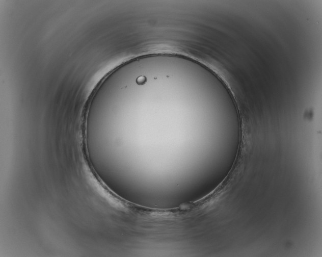 X0000111631142200907311220