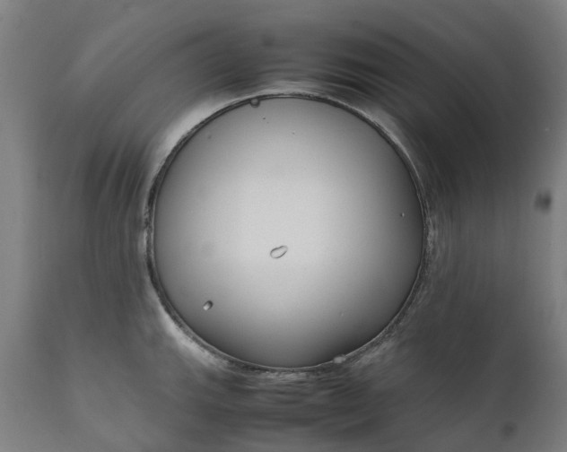 X0000111631143200907311220