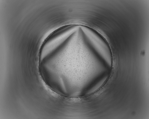 X0000111631144200907311220