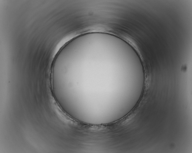 X0000111631146200907311220