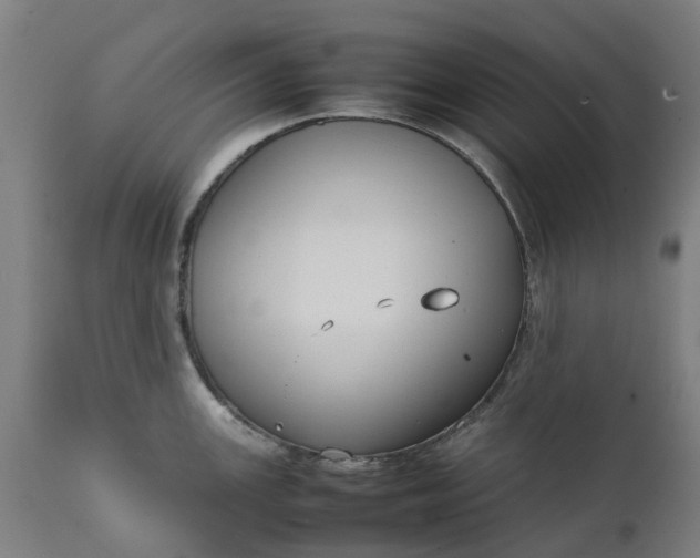 X0000111631147200907311220