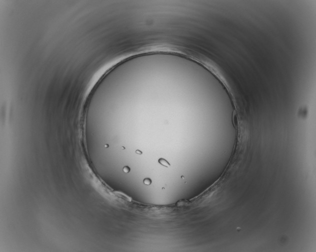 X0000111631148200907311220