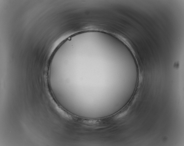 X0000111631149200907311220