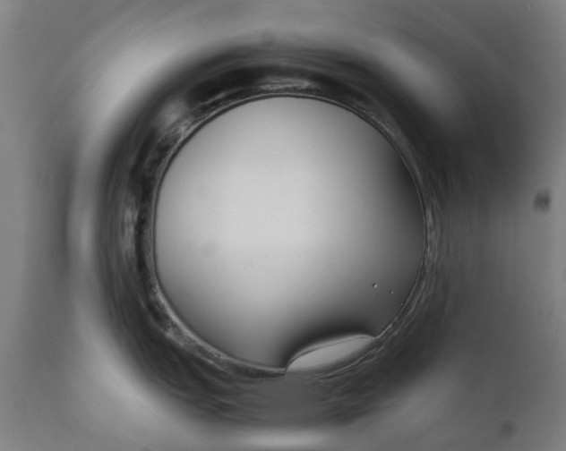 X0000111631151200907311221