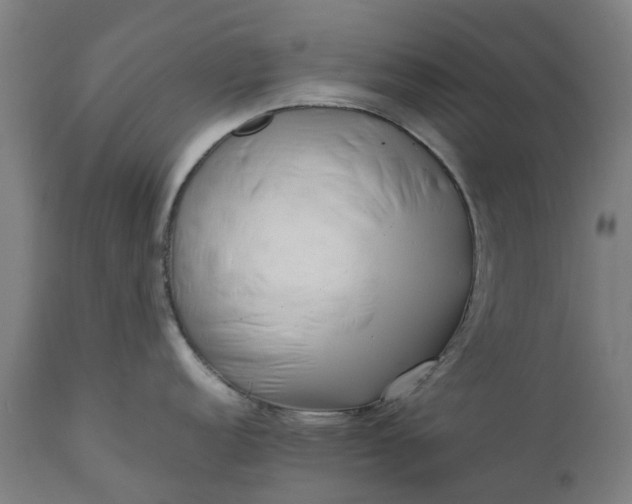 X0000111631152200907311221