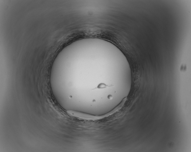 X0000111631153200907311220