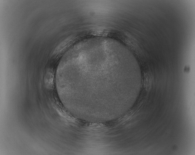 X0000111631154200907311220