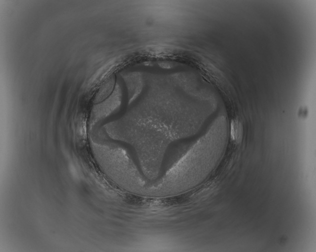 X0000111631155200907311220