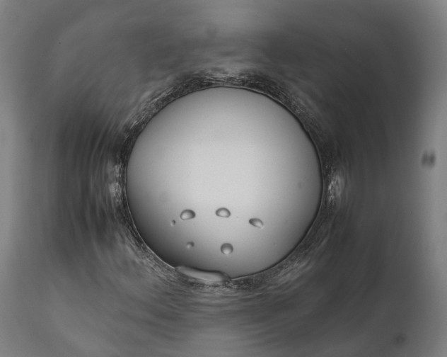 X0000111631156200907311220