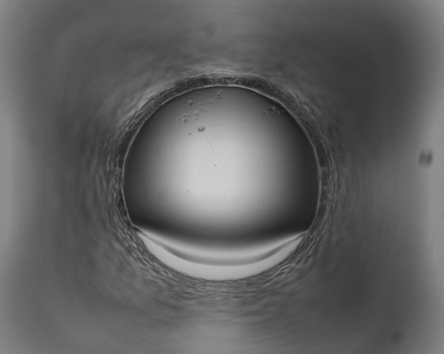 X0000111631157200907311220