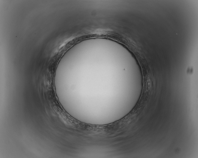 X0000111631158200907311220