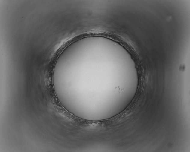 X0000111631160200907311220