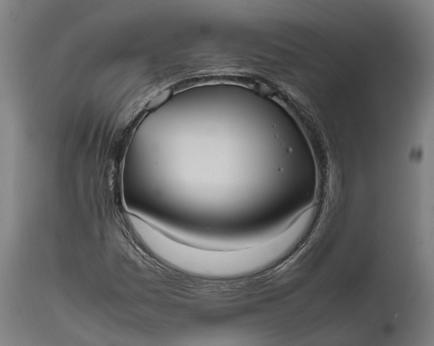 X0000111631161200907311220