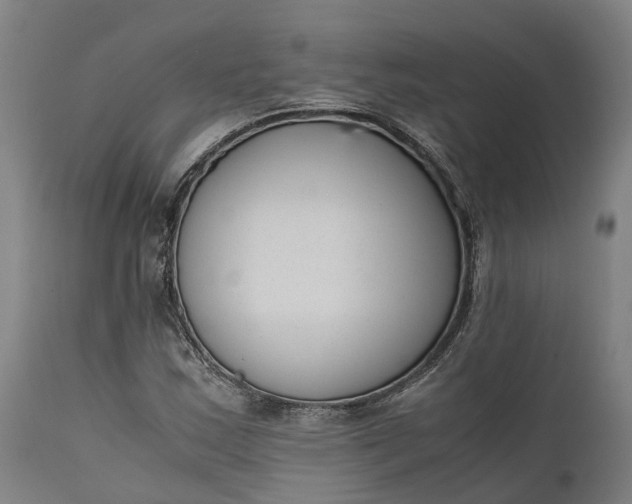 X0000111631163200907311220